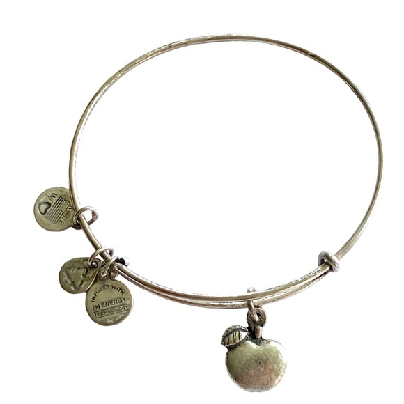 Alex and Ani Gold Teacher Apple Charm Bracelet - Picture 1 of 2